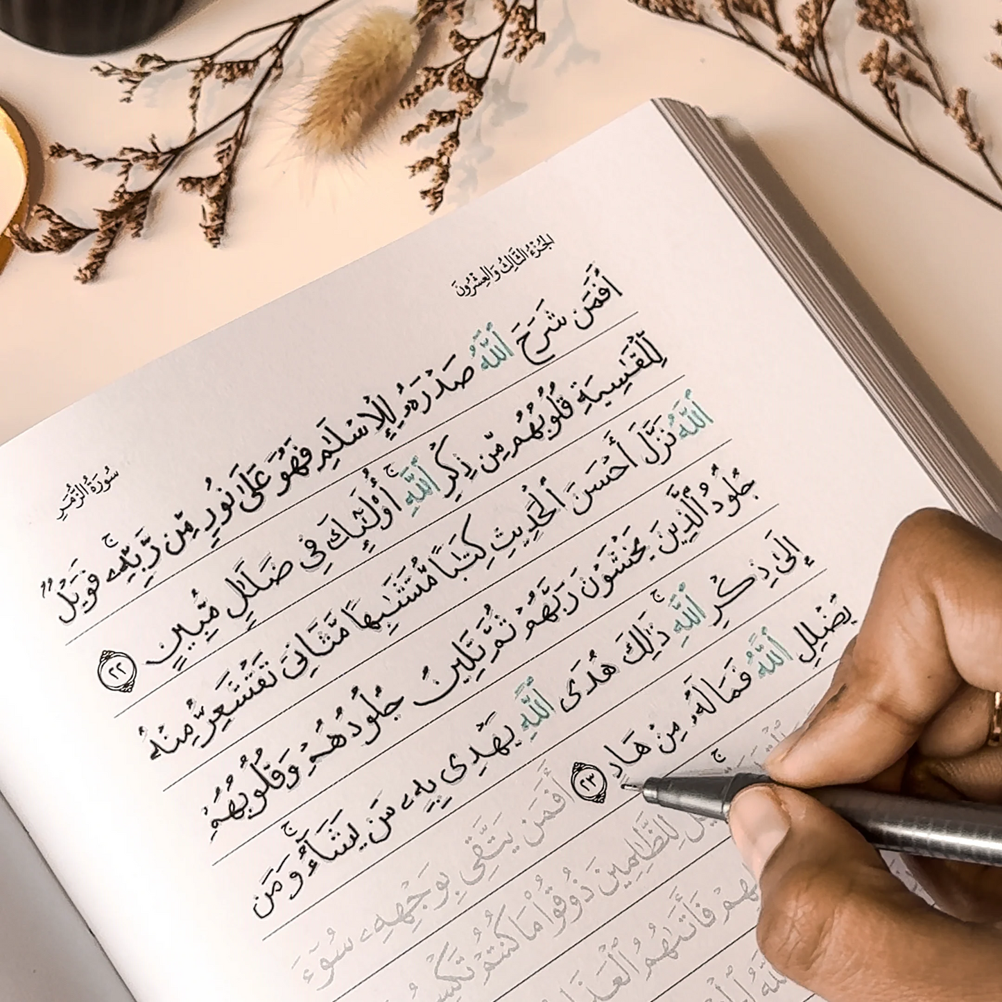QURAN TRACE